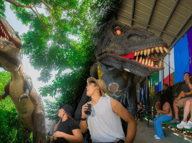 Dino Trail With World of Fun